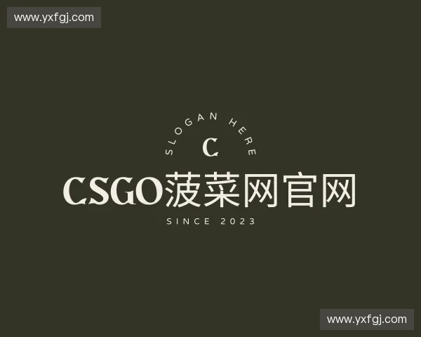 了解csgo菠菜网